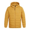 Jaune Foncé