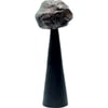 Noir Intense Avec Nuances Bronze