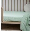 Vichy Vert Aqua