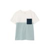 Menthe