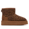 Leopardo