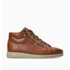 Noisette 5137