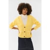 Jaune Pineapple Slice Melange