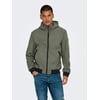 Grise - Castor Gray 1