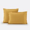 Ochre