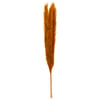 Ocre