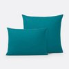Duck Egg Blue