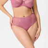 Dusty Rose