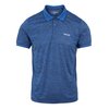 Bleu Olympique