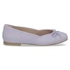 Transparent Poudre