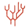 Corail Épicé