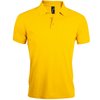 Bouton D'Or