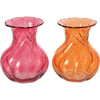 Orange Et Fuchsia