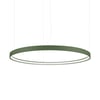 Vert Olive