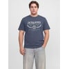 Grise - Odyssey Gray 1