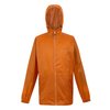 Orange Sombre