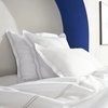Drap coton egyptien
