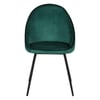 Vert Canard