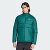 Collegiate Green / Collegiate Green