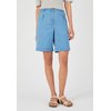 Bleu Denim Pastel