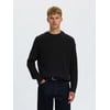 Noir - Black1