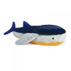 Requin