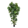 Vert Été