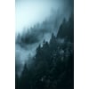 Tableau Alu Dibond