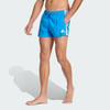 Bright Blue / White