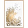 Affiche + Cadre En Bois - Chêne