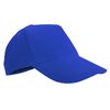 Bleu Roi