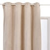 Beige Lin