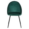 Vert Canard
