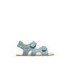 Sage-