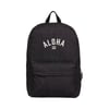 Noir Black Rinse
