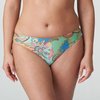 Multicolor - Italian Chic
