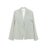 Blanc Et Vert Clair
