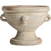 Beige Crème Vieilli Antique