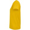 Bouton D'Or