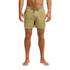 Beige Kelp