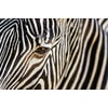 Tableau Alu Dibond