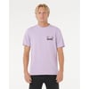 Lavande Glacée