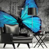 Gris / Argent