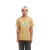 Beige Kelp