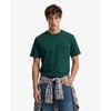 Vert Universitaire