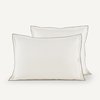 Gesso