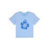 Bleu Cerulean