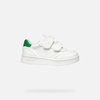 Blanc/Vert