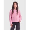 Rose - Pink Lady 1