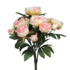 Rose Pâle
